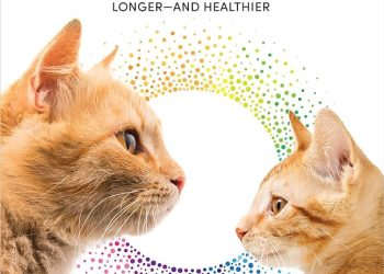 Whiskered Wisdom: Longevity and the Chronicles of Feline Aging