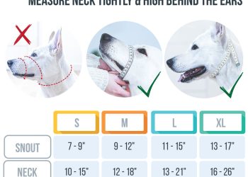 A Gentle Guide to Muzzling: Ensuring Safety and Comfort