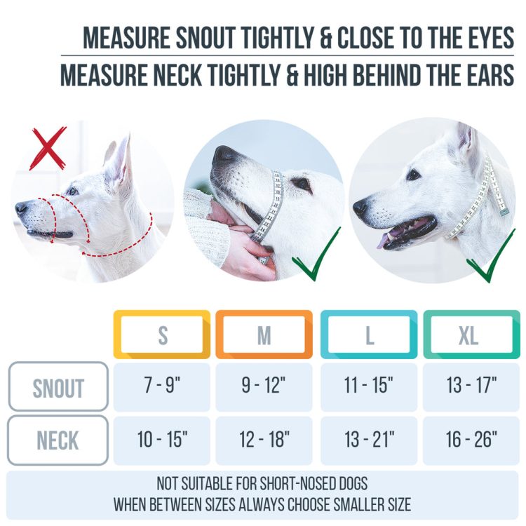 A Gentle Guide to Muzzling: Ensuring Safety and Comfort