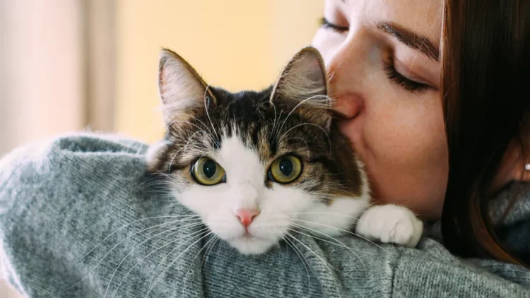 Decoding Feline Odors: Understanding and Addressing Cat Smells