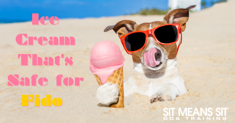 A Cool Delight with a Dash of Caution: Can Dogs Safely Indulge in Ice Cream?