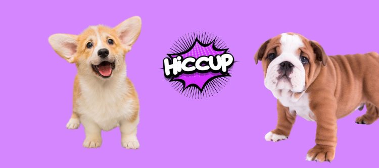 Puppy Hiccups Demystified: Navigating the Quirks of Canine Physiology