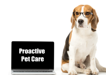 Proactive Pet Care: A Guide to Early Cancer Detection and Prevention