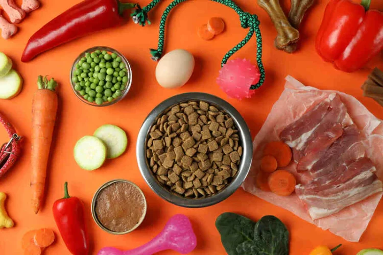 Understanding Your Pet’s Nutritional Needs: How to Choose the Right Food for Your Furry Friend