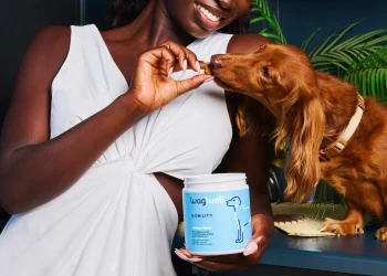 The Role of Supplements in Your Pet’s Diet