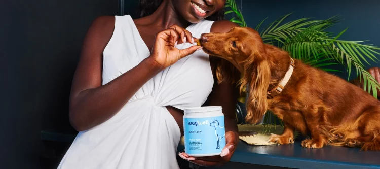 The Role of Supplements in Your Pet’s Diet