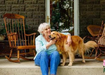 New Trends in Senior Pet Joint Care: Which Natural Remedies Effectively Alleviate Pain?