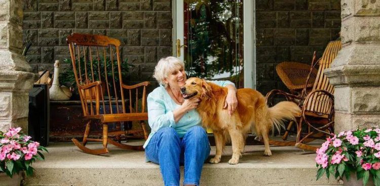 New Trends in Senior Pet Joint Care: Which Natural Remedies Effectively Alleviate Pain?
