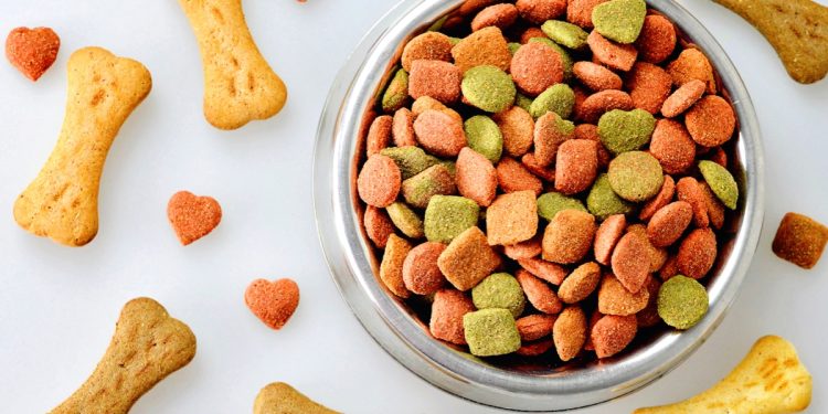 Common Foods to Avoid in Your Pet’s Diet