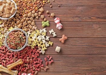 How to Control the Right Amount of Food for Your Pet