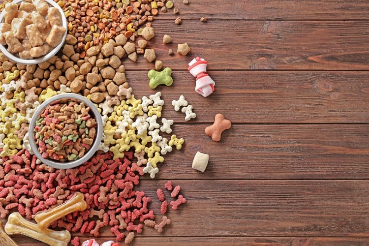 How to Control the Right Amount of Food for Your Pet