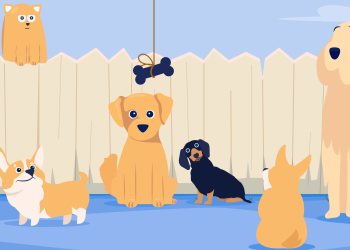 Positive Reinforcement: How to Use Rewards to Train Your Pet