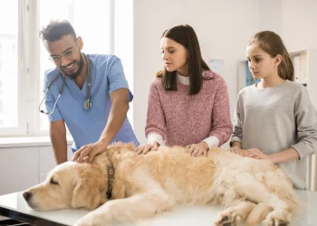 Preventive Pet Care: What Every Pet Owner Should Know
