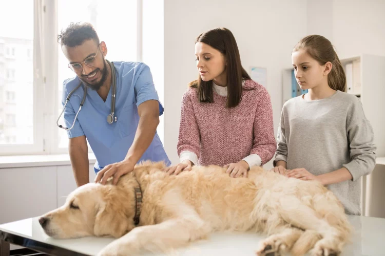 Preventive Pet Care: What Every Pet Owner Should Know