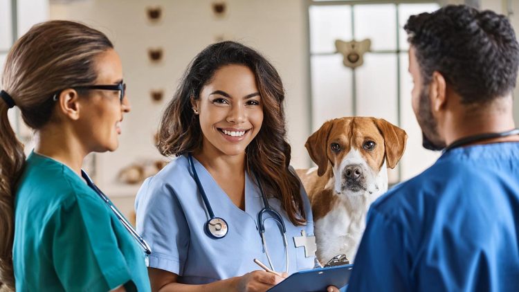 Does Your Pet Need Regular Checkups? How to Know When It’s Time to Visit the Veterinarian?
