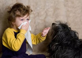 Common Allergy Symptoms in Pets