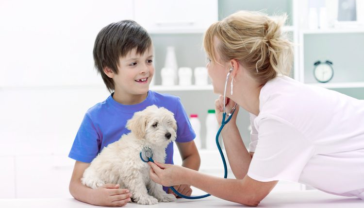 How to Determine if Your Pet Has a Skin Condition and What Treatment Is Necessary