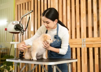 How to Choose the Right Grooming Products for My Pet’s Coat Type?