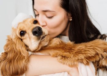 How to Avoid Irritating Your Pet’s Skin During Grooming