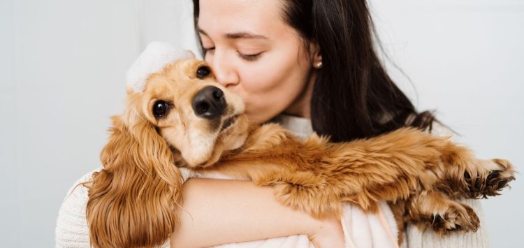 How to Avoid Irritating Your Pet’s Skin During Grooming