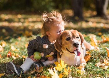 How to Teach Your Pet Basic Commands Like “Sit” and “Come”