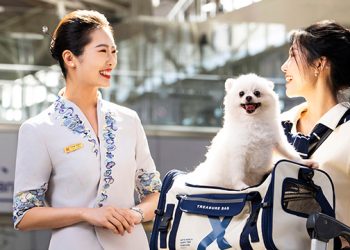 How to Help Your Pet Overcome Separation Anxiety