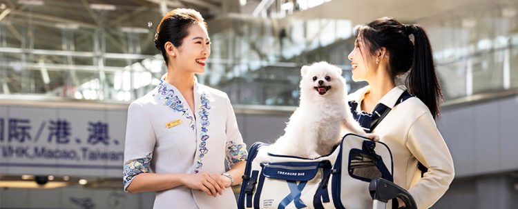 How to Help Your Pet Overcome Separation Anxiety