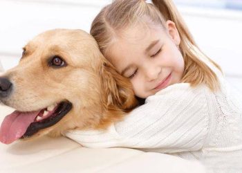 The Correct Use of Rewards and Punishments in Pet Training