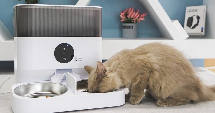 Will Smart Feeders Change Pet Eating Habits? Are Tech Products Reliable?