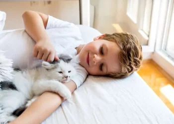 How to Tell if My Pet is Having an Allergic Reaction?