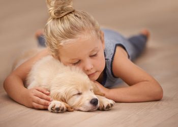 How to Help Your Pet Adjust to a New Environment Without Feeling Anxious