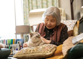 Common Health Issues in Senior Pets: How to Prevent and Care for Them