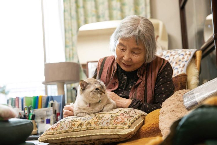 Common Health Issues in Senior Pets: How to Prevent and Care for Them