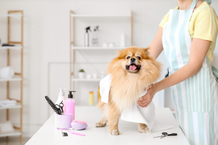 Are Pet Grooming Products Safe? How to Choose the Right Pet Skincare Products