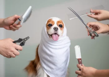 How to Avoid Causing Anxiety or Discomfort During Pet Grooming?
