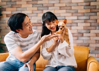 Common Types of Pet Parasites and How to Prevent and Treat Them