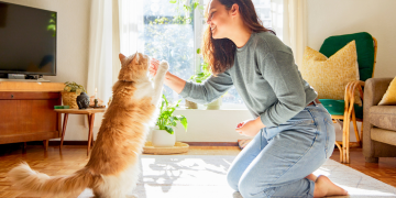 Why Does Your Pet’s Diet Affect Their Training Results?
