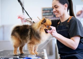 Why Does Nail Trimming Improve Pet Posture Over Time?