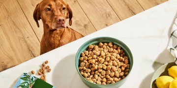 What Should You Know About Sustainable Pet Food Options in 2024-2025?