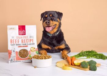 How Can You Safely Introduce Human Food to Your Pet’s Diet?