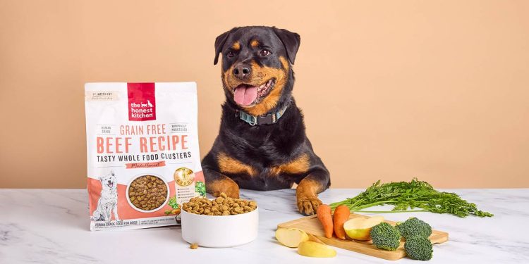 How Can You Safely Introduce Human Food to Your Pet’s Diet?