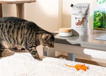 What Are the Best Natural Grooming Products for Your Pet?