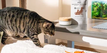 What Are the Best Natural Grooming Products for Your Pet?