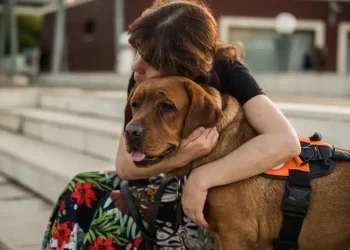 How Can You Identify Your Pet’s Unique Breed Traits and Needs?