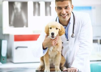 What Are the Most Common Pet Health Problems in 2024 and How Can You Prevent Them?