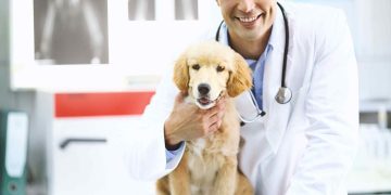 What Are the Most Common Pet Health Problems in 2024 and How Can You Prevent Them?