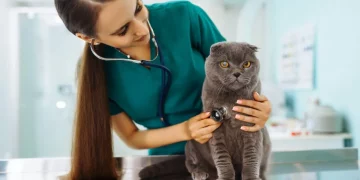 Why Are Regular Vet Checkups Important for Pet Health in 2024?