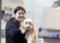 What Are the Most Innovative Treatments for Pet Allergies in 2024?