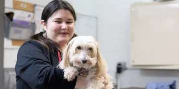 What Are the Most Innovative Treatments for Pet Allergies in 2024?